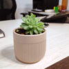 POC000104PK-a A simple Ceramic planter, elegant, stylish for potting small indoor plants, succulents that can be kept on your working table, Side table, Tea table, TV stand