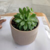 POC000104PK-b A simple Ceramic planter, elegant, stylish for potting small indoor plants, succulents that can be kept on your working table, Side table, Tea table, TV stand