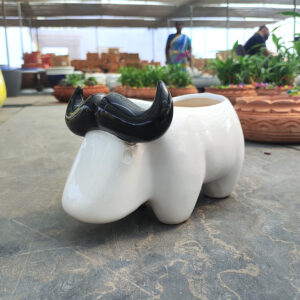POC000308WT-c Charming ceramic buffalo planter, perfect for adding a playful touch to indoor décor with small plants or succulents.