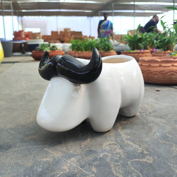 POC000308WT-c Charming ceramic buffalo planter, perfect for adding a playful touch to indoor décor with small plants or succulents.