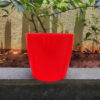 POPD001306RD-b 10 inches | Valencia Designer Pot | Plastic Planter with Plain Premium and Elegant surface | Premium and Elegant | Suitable for Indoor / Outdoor in Living Space, Office, Porch, Garden, Balcony and can be placed on Plant Stands