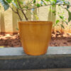 POPD002875MD-a 7.5 inches Round | Designer Pot | Plastic Planter with Elegant Glitter surface | Premium, Glitter and Elegant | Suitable for indoor / outdoor in porch, living room, Garden and can be placed on a stand