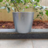 POPD003110MG-b 8 inches Valencia Designer Pot | Plastic Planter with Plain Premium and Elegant surface | Premium and Elegant | Suitable for Indoor / Outdoor in Living Space, Office, Porch, Garden, Balcony and can be placed on Plant Stands