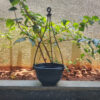 POPH001108BK-b 8 inches Round | Black Hanging Pot | Plastic Hanging Pot | Lightweight and Sturdy | Suitable for Indoor / Outdoor and can be hanged in Balcony, Courtyard, Window, Porch, Garden