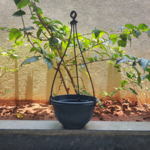 POPH001108BK-b 8 inches Round | Black Hanging Pot | Plastic Hanging Pot | Lightweight and Sturdy | Suitable for Indoor / Outdoor and can be hanged in Balcony, Courtyard, Window, Porch, Garden