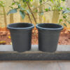 POPN000108BK-c 8 inches Round | Black Nursery Pot | Plastic Planter Short with drainage holes and plate | Tall, Lightweight and Sturdy | Suitable for Garden, Balcony, Outdoor and can be placed on Plant Stands
