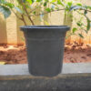 POPN000108BK-d 8 inches Round | Black Nursery Pot | Plastic Planter Short with drainage holes and plate | Tall, Lightweight and Sturdy | Suitable for Garden, Balcony, Outdoor and can be placed on Plant Stands