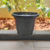 POPN000512BK-c 12 inches Round | Black Nursery Pot | Plastic Planter Regular with drainage holes and plate | Regular, Lightweight and Sturdy | Suitable for Garden, Balcony, Outdoor and can be placed on Plant Stands
