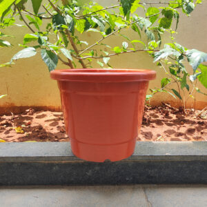 POPN000512BR-b 12 inches Round | Nursery Pot | Plastic Planter Regular with drainage holes | Regular, Lightweight and Sturdy | Suitable for Garden, Balcony, Outdoor and can be placed on Plant Stands