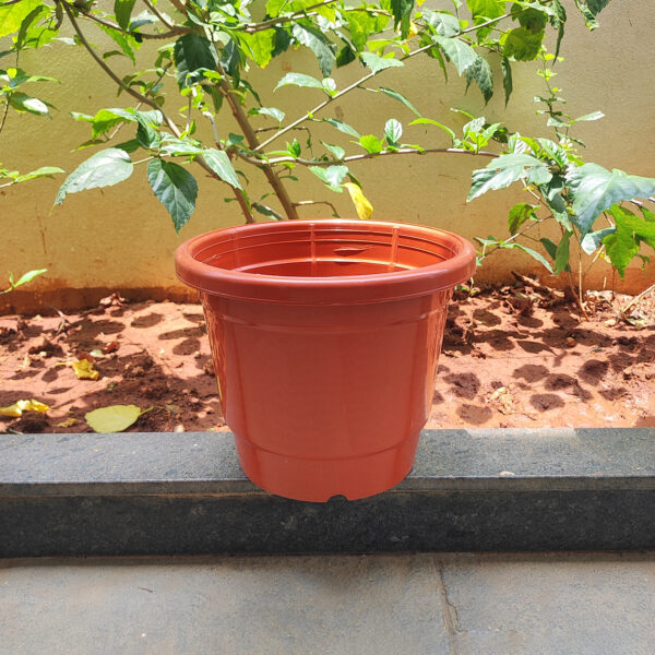 POPN000512BR-c 12 inches Round | Nursery Pot | Plastic Planter Regular with drainage holes | Regular, Lightweight and Sturdy | Suitable for Garden, Balcony, Outdoor and can be placed on Plant Stands