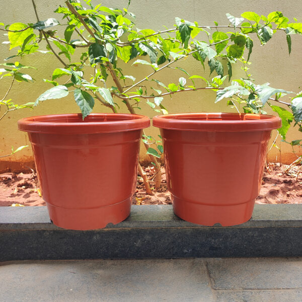 POPN000512BR-d 12 inches Round | Nursery Pot | Plastic Planter Regular with drainage holes | Regular, Lightweight and Sturdy | Suitable for Garden, Balcony, Outdoor and can be placed on Plant Stands