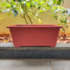 POPW000714BR-a 14 inches Rectangular | Window Pot | Plastic Planter with drainage holes and plate | Lightweight and Sturdy | Ideal at Window Sil for growing small flowering plants and Shrubs