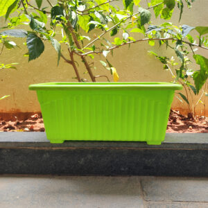 14 inches Rectangular | Window Pot | Plastic Planter with drainage holes and plate | Lightweight and Sturdy | Ideal at Window Sil for growing small flowering plants and Shrubs