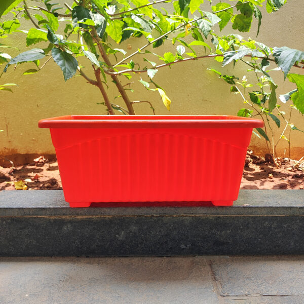POPW000714OR-a 14 inches Rectangular | Window Pot | Plastic Planter with drainage holes and plate | Lightweight and Sturdy | Ideal at Window Sil for growing small flowering plants and Shrubs