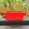 14 inches Rectangular | Window Pot | Plastic Planter with drainage holes | Lightweight and Sturdy | Ideal at Window Sil for growing small flowering plants and Shrubs