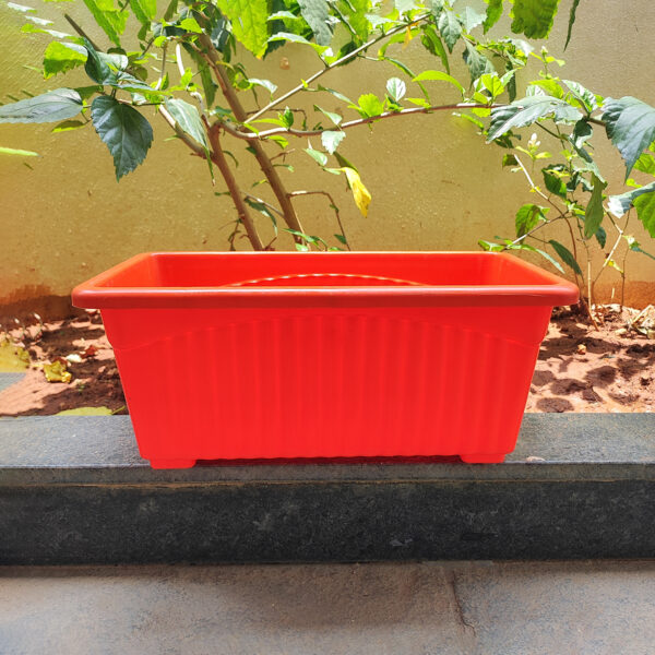 14 inches Rectangular | Window Pot | Plastic Planter with drainage holes | Lightweight and Sturdy | Ideal at Window Sil for growing small flowering plants and Shrubs