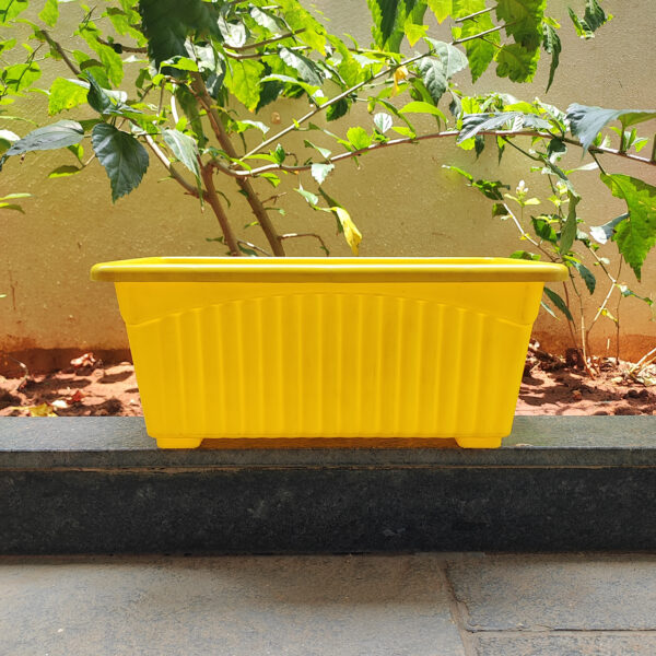 POPW000714YL-a 14 inches Rectangular | Window Pot | Plastic Planter with drainage holes and plate | Lightweight and Sturdy | Ideal at Window Sil for growing small flowering plants and Shrubs