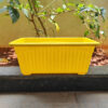 14 inches Rectangular | Window Pot | Plastic Planter with drainage holes | Lightweight and Sturdy | Ideal at Window Sil for growing small flowering plants and Shrubs