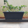 POPW000818BK-b 18 inches Rectangular | Black Window Pot | Plastic Planter with drainage holes and plate | Lightweight and Sturdy | Ideal at Window Sil for growing small flowering plants and Shrubs