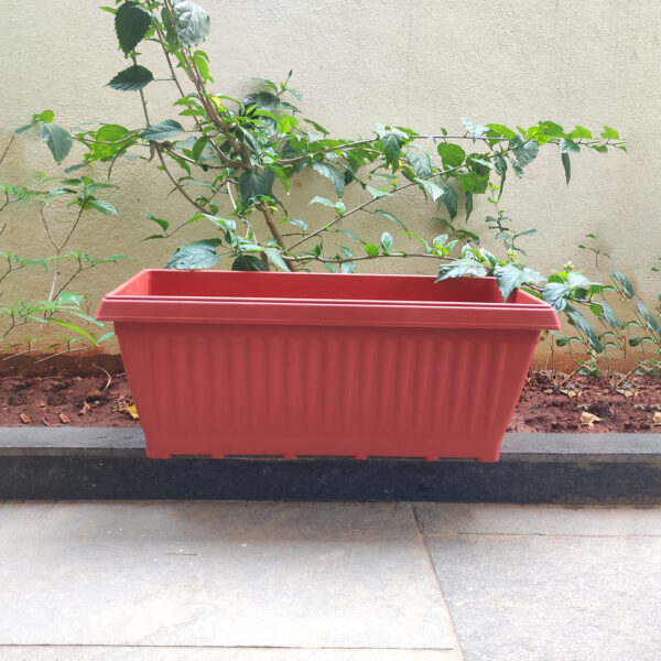 POPW000818BN-c 18 inches Rectangular Window Pot | Plastic Planter with drainage holes | Lightweight and Sturdy | Ideal at Window Sil for growing small flowering plants and Shrubs