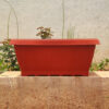 POPW000927BR-d 27 inches Rectangular | Brown Window Pot | Plastic Planter with drainage holes | Lightweight and Sturdy | Ideal at Window Sil for growing small flowering plants and Shrubs