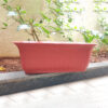 POPW004120BR-b 20 inches Rectangular | Brown Designer Pot | Plastic Rectangular Planter with stylish tapered edges | Stylish, Elegant and Cute | Ideal at Window Sil for growing small flowering plants and Shrubs
