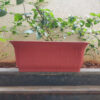 POPW004120BR-e 20 inches Rectangular | Brown Designer Pot | Plastic Rectangular Planter with stylish tapered edges | Stylish, Elegant and Cute | Ideal at Window Sil for growing small flowering plants and Shrubs