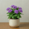 Pentas
