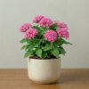 Pentas