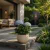 PL0023-b Hydrangea