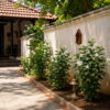 PL0026-b Gundu Malli