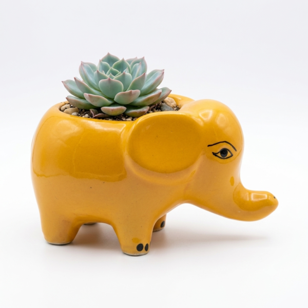 Elephant Planter: Medium (7 inches) - Cute and Colourful Ceramic planter Small planters suitable set for home decor, gifting and personal use