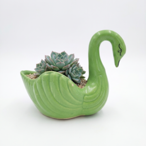 Swan Planter - Cute and Green Ceramic planter Small planters suitable set for home decor, gifting and personal use