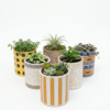 POC0009h Straight Bowl, Random Patterned, Ceramic planters. This minimalistic planters will be suitable set for home decor, gifting and personal use