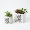 POC0018b Square shaped planters: Set of 2 - Straight, Square, simple printed Ceramic planters in Small & Big sizes. Minimalistic planters suitable for home decor, gifting and personal use