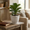Leafy Vase shaped Planter - simple leaf shaped Ceramic planters in Big size. Minimalistic planters suitable set for home decor, gifting and personal use