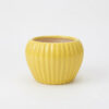 Apple shape Ribbed planter: Small - Cute vertical ribbed surface, Apple shaped Ceramic planters, suitable set for home decor, gifting and personal use
