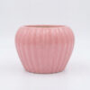 Apple shape Ribbed planter: Small - Cute vertical ribbed surface, Apple shaped Ceramic planters, suitable set for home decor, gifting and personal use