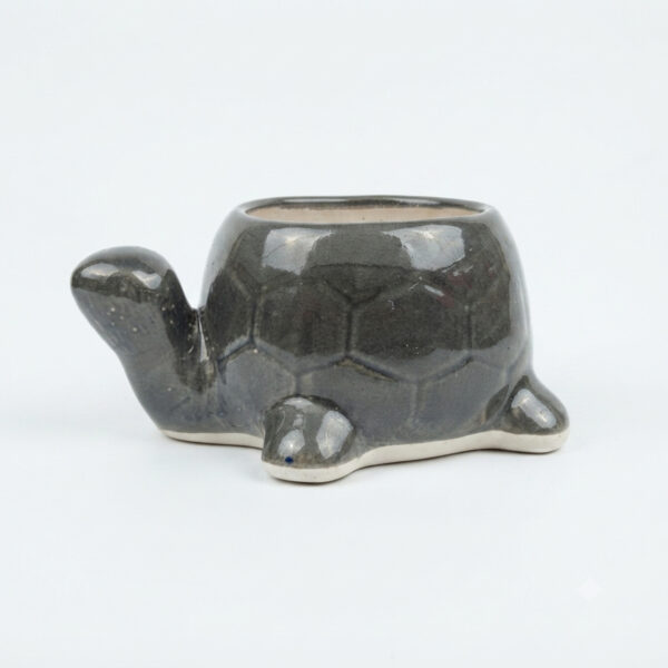 POC0027a Tortoise shaped Planter - Cute and colourful Tortoise shaped Ceramic planters suitable set for home decor, gifting and personal use