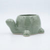 POC0027d Tortoise shaped Planter - Cute and colourful Tortoise shaped Ceramic planters suitable set for home decor, gifting and personal use