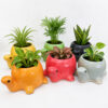 POC0027g Tortoise shaped Planter - Cute and colourful Tortoise shaped Ceramic planters suitable set for home decor, gifting and personal use