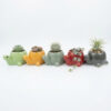 POC0027j Tortoise shaped Planter - Cute and colourful Tortoise shaped Ceramic planters suitable set for home decor, gifting and personal use