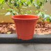 POPN000108BR-c 8 inches Round | Nursery Pot | Plastic Planter with drainage holes | Lightweight and Sturdy | Suitable for Garden, Balcony, Outdoor and can be placed on Plant Stands