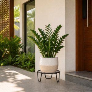 PS01MT0001e Sturdy black galvanised steel plant stand with a round wire-frame top and tapered tripod legs. Rust-resistant, powder-coated finish for durable, long-lasting indoor or outdoor use for Home Garden, Balcony and Terrace.