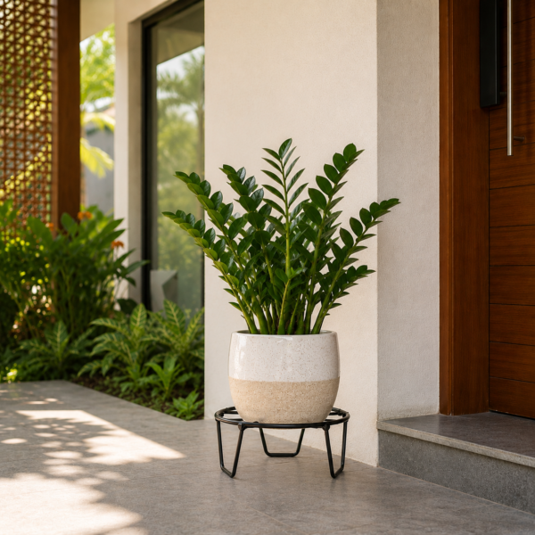 PS01MT0001e Sturdy black galvanised steel plant stand with a round wire-frame top and tapered tripod legs. Rust-resistant, powder-coated finish for durable, long-lasting indoor or outdoor use for Home Garden, Balcony and Terrace.