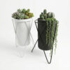 PS01MT0005c Modern tripod plant stand with 'V' shaped galvanised steel legs and a round rim top, available in black or white. Rust-resistant, powder-coated finish for stylish indoor or outdoor use.