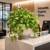 Money Plant / Pothos (Epipremnum Aureum)