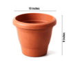 10 inches Round Pot | Plastic Planter | Regular, Lightweight and Sturdy | Suitable for Garden, Balcony, Outdoor and can be placed on Plant Stands