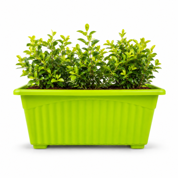 14 inches Rectangular | Window Pot | Plastic Planter with drainage holes | Lightweight and Sturdy | Ideal at Window Sil for growing small flowering plants and Shrubs