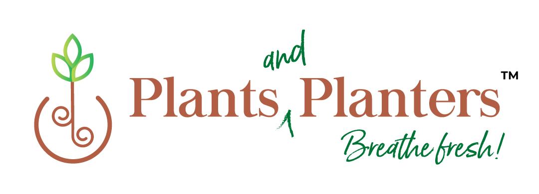 Plants and Planters